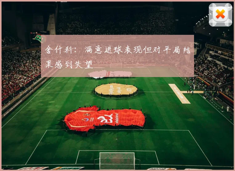 舍什科：满意进球表现但对平局结果感到失望