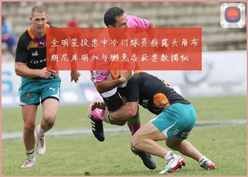 全明星投票中冷门球员崭露头角布朗尼库明加与獭兔各获票数揭秘