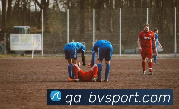 宝威体育平台生态图