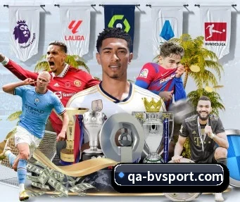 宝威体育 APP（BOWWAYSPORTS）